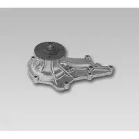 GK Wasserpumpe 981720