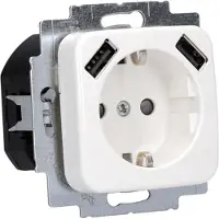 Busch Jaeger 20 EUCB2USB-214 Schuko 2x USB-Steckdose Reflex SI/SI Linear 2CKA002011A6264 20 EUCB2USB-214