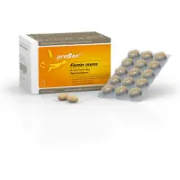 Prosan Pharmazeutische Vertriebs GmbH proSan Femin meno 60 St