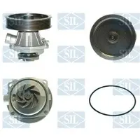 Saleri SIL Wasserpumpe PA859