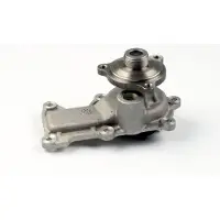 GK Wasserpumpe 982632