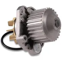 GK Wasserpumpe 981075