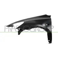 PRASCO Kotflügel ts6003004 vorne links für Tesla