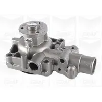 Graf Wasserpumpe PA1161