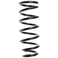 SPIDAN Fahrwerksfeder 85309