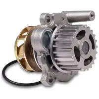 GK Wasserpumpe 980131