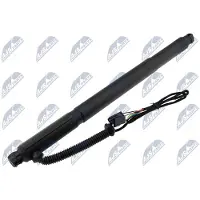 NTY Gasfeder Kofferraum AE-BM-076 Hinten Links für BMW X6 (E71, E72)