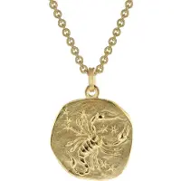 Trendor 39070-11 Skorpion Sternzeichen Ø 20 mm Herrenkette Gold auf Silber