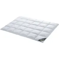 Spessarttraum Daunendecke Wildente Füllung: 100% Daunen Bezug: 100% Baumwolle Größe 200x200cm Wärmeklasse extrawarm