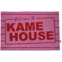 Dragon Ball Kame House