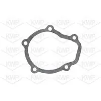 KWP Wasserpumpe 10738