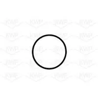 KWP Wasserpumpe 101041