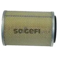 FRAM Luftfilter CA4219