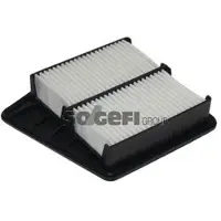 FRAM Luftfilter CA11230