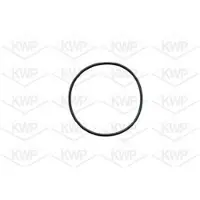 KWP Wasserpumpe 10491