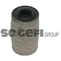FRAM Luftfilter CA11231