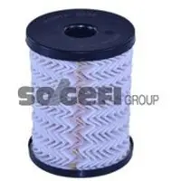 TECNOCAR Kraftstofffilter N490