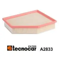 TECNOCAR Luftfilter A2833