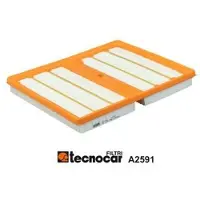 TECNOCAR Luftfilter A2591