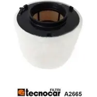 TECNOCAR Filter A2665