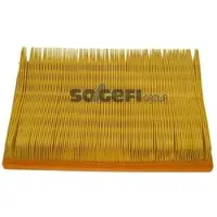 FRAM Luftfilter CA10049