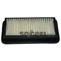 FRAM Luftfilter CA10201