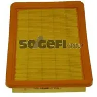FRAM Luftfilter CA8162