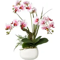 Creativ Green Kunstorchidee "Deko-Orchidee Phalaenopsis im Keramiktopf"