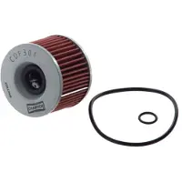 Champion Ölfilter COF301 Motorölfilter,Filter für Öl