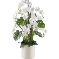 Creativ Green Kunstorchidee "Orchidee Phalaenopsis" mit Gräsern und Splitphilo-Blättern