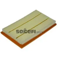 FRAM Luftfilter CA11711