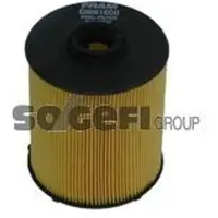 FRAM Kraftstofffilter C8981ECO