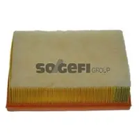 FRAM Luftfilter CA10023
