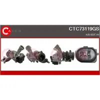 Casco Lader, Aufladung Genuine CTC73119GS