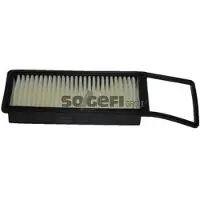 FRAM Luftfilter CA9945