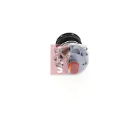 AKS Dasis Wasserpumpe [Hersteller-Nr. 570077N] für BMW, Wiesmann