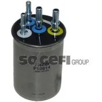 FRAM Kraftstofffilter P10614