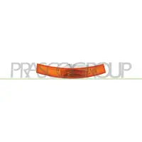 PRASCO Blinkleuchte DS9604104