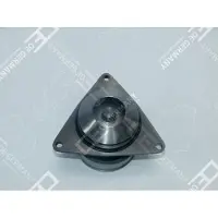 OE GERMANY Wasserpumpe 09 2000 C60000