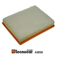 TECNOCAR Luftfilter A2836