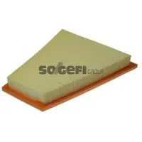 FRAM Luftfilter CA10994