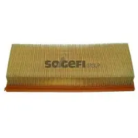 FRAM Luftfilter CA5492