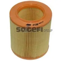 FRAM Luftfilter CA5308