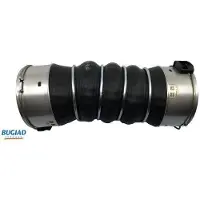 BUGIAD 82051 Turbo Ladeluftschlauch für BMW 5 Touring (F11) 5 Limousine (F10) 7 (F01, F02, F03, F04) 5 GT (F07)