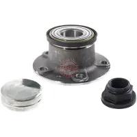 Master Sport Radlagersatz Hinten für FIAT Ducato Kastenwagen (250, 290) 6572-SET-MS