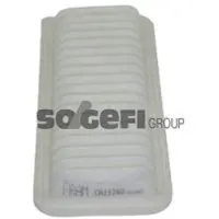 FRAM Luftfilter CA11240