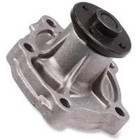GK Wasserpumpe 987521