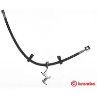 Brembo Bremsschlauch ESSENTIAL LINE T 50 054