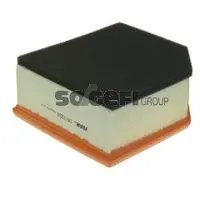 FRAM Luftfilter CA11269