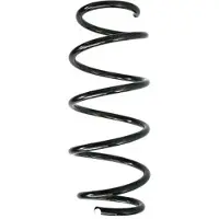 SPIDAN Fahrwerksfeder 86679